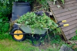 Wheelbarrow with garden waste